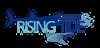 Rising Tide Coastal Fare & Surfside Bar